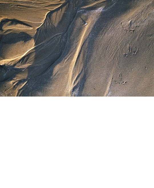 test-resize-D8483_Natures_path