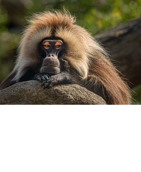 test-resize-P8320_I_don_t_care