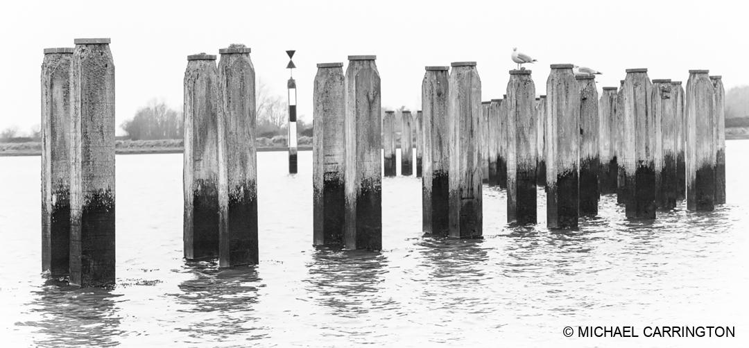 IMG_1975-crop1