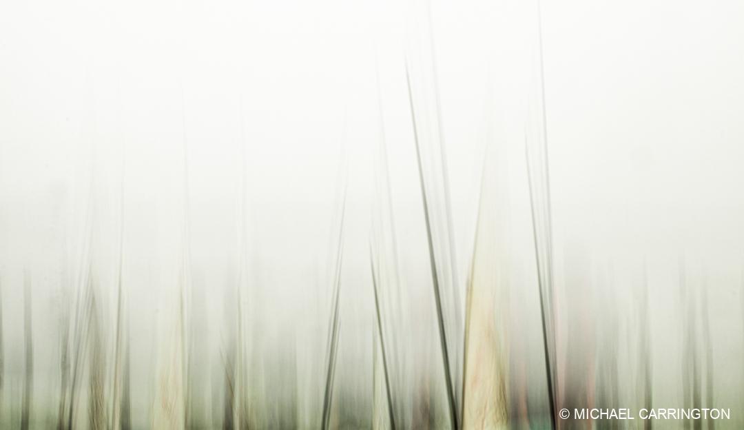 IMG_1997-crop1