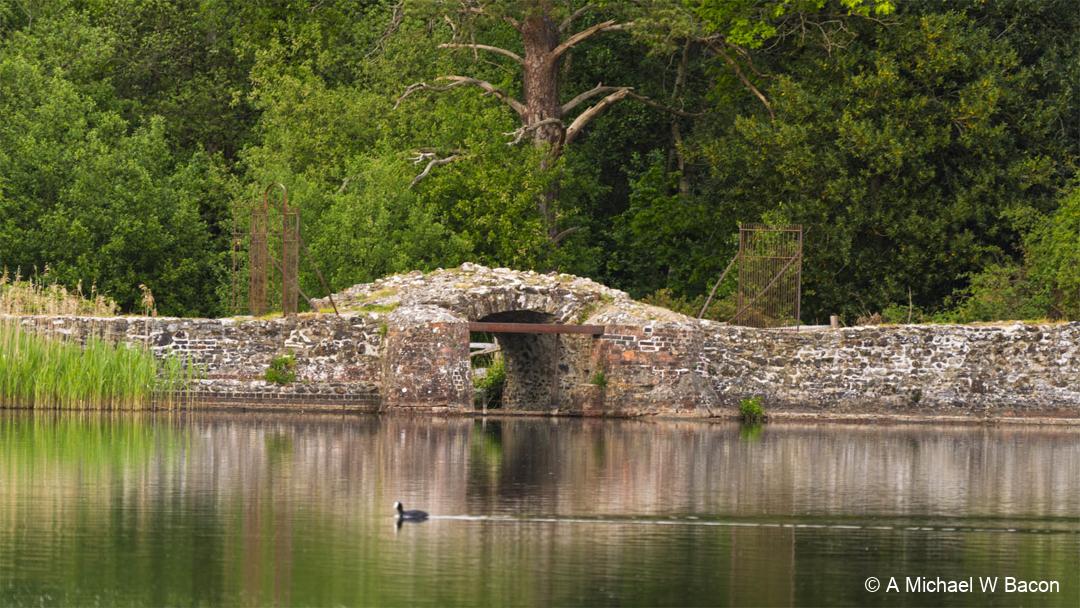 4SGC3F_frenshamlittlepond_DSC03419-edited_20260516-1