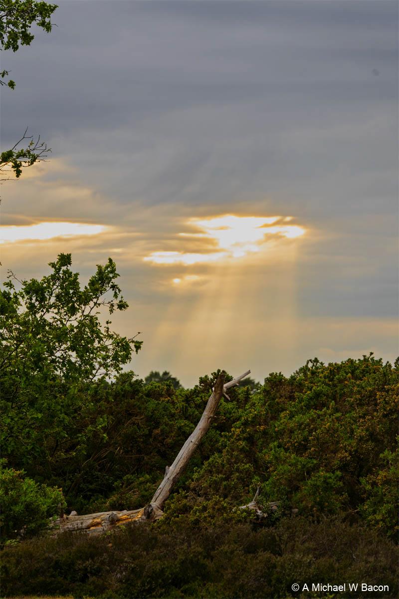 7IT6N0_frenshamlittlepond_DSC03404-edited_20260516-1