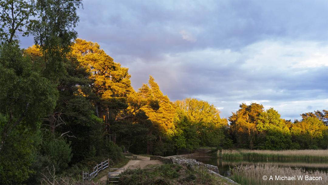 85INEC_frenshamlittlepond_DSC03432-edited_20260516-1