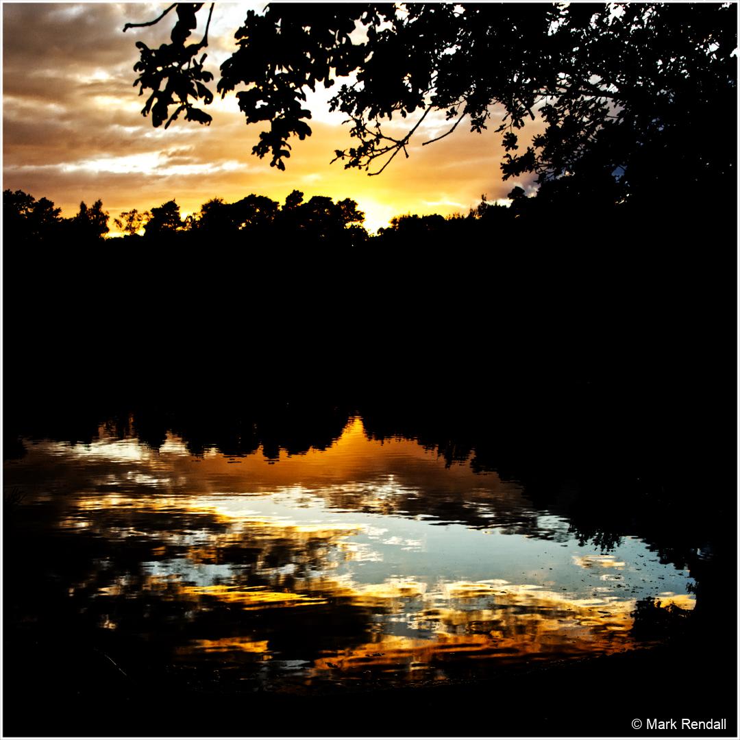 C9760K_frenshamlittlepond_EOS-R7R7_24946