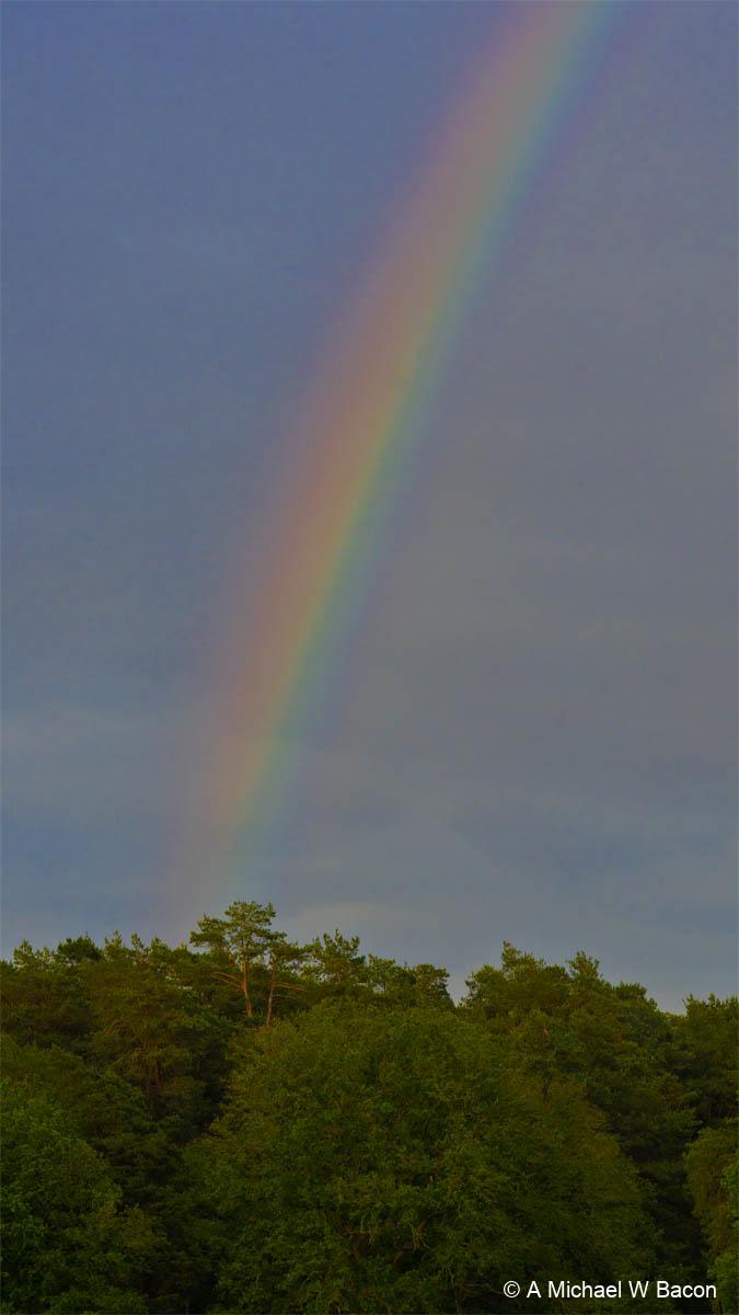 E7IF23_frenshamlittlepond_DSC03412-edited_20260516-1