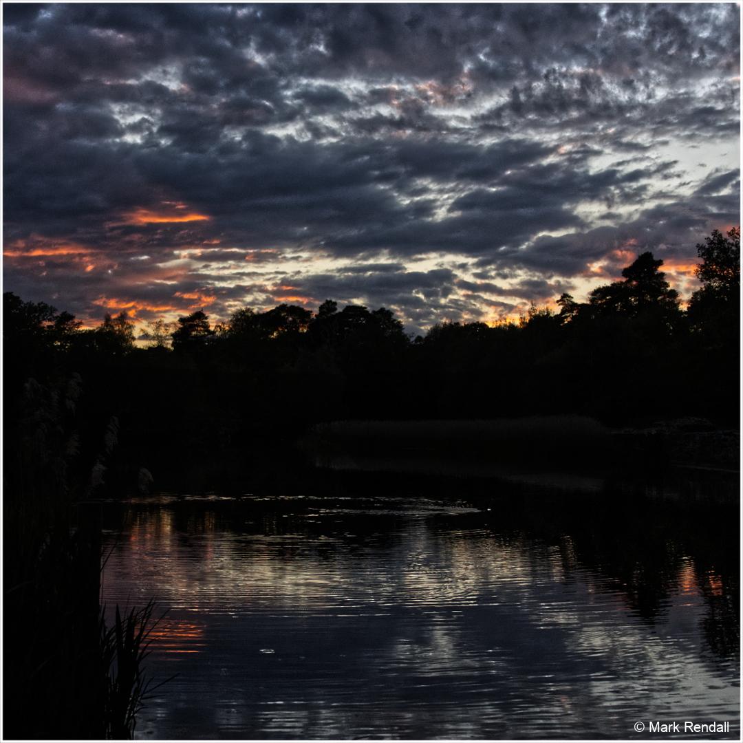 F3JKZU_frenshamlittlepond_EOS-R7R7_24970