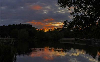 Frensham Little Pond