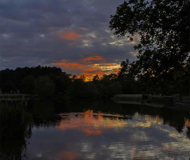 Frensham Little Pond