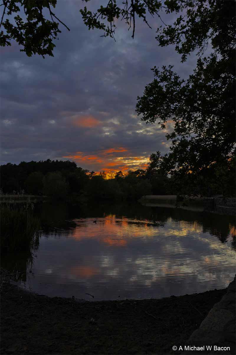 HY362N_frenshamlittlepond_DSC03477-edited_20260516-1