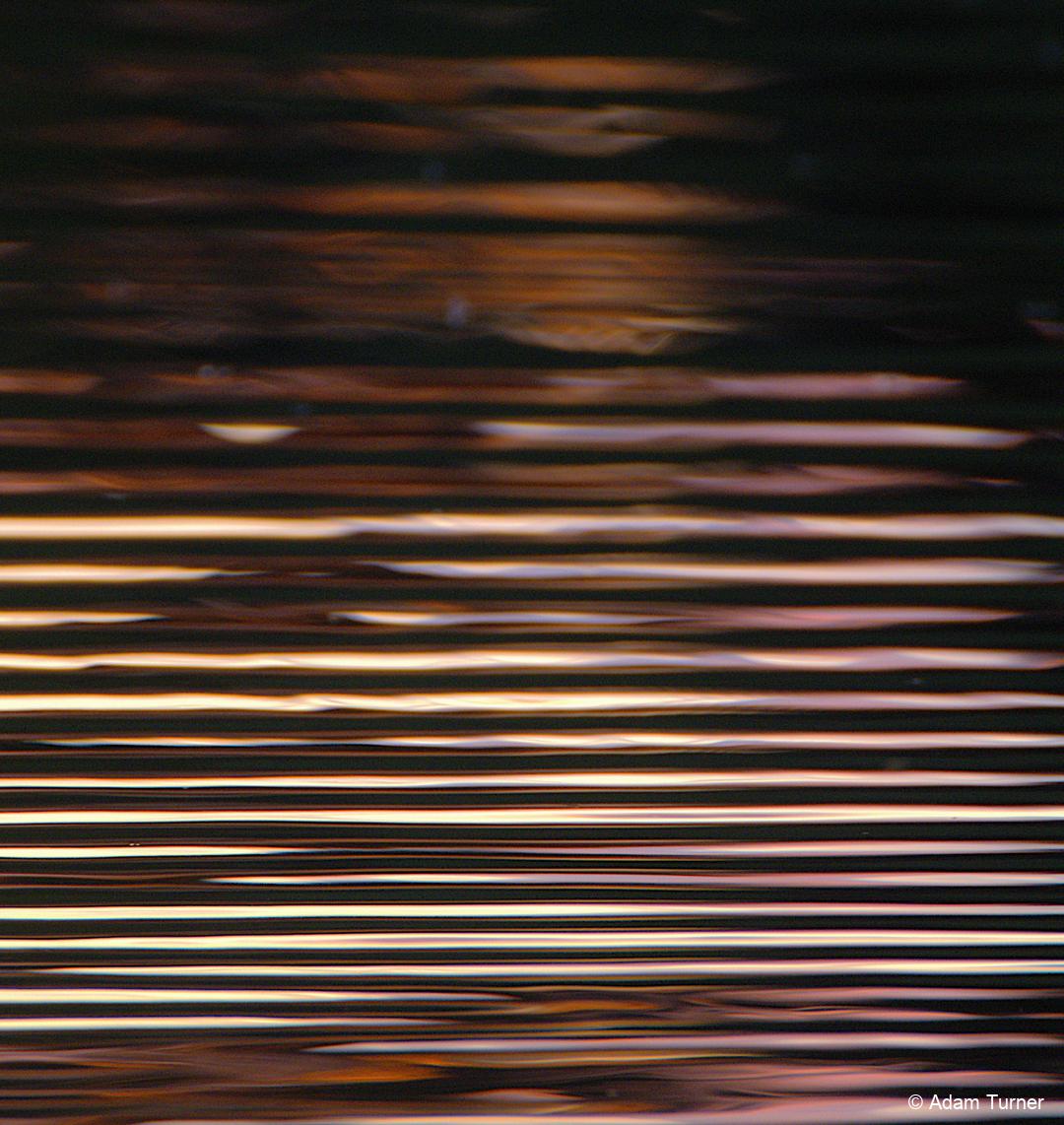 OCEU3P_frenshamlittlepond__DSF0250-11