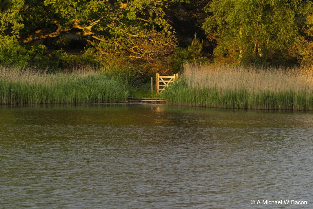 RTOVW9_frenshamlittlepond_DSC03410-edited_20260516-1