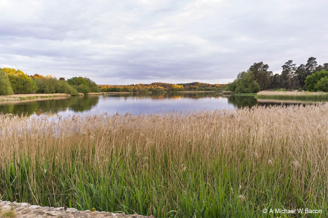 V63J3P_frenshamlittlepond_DSC03433-edited_20260516-1
