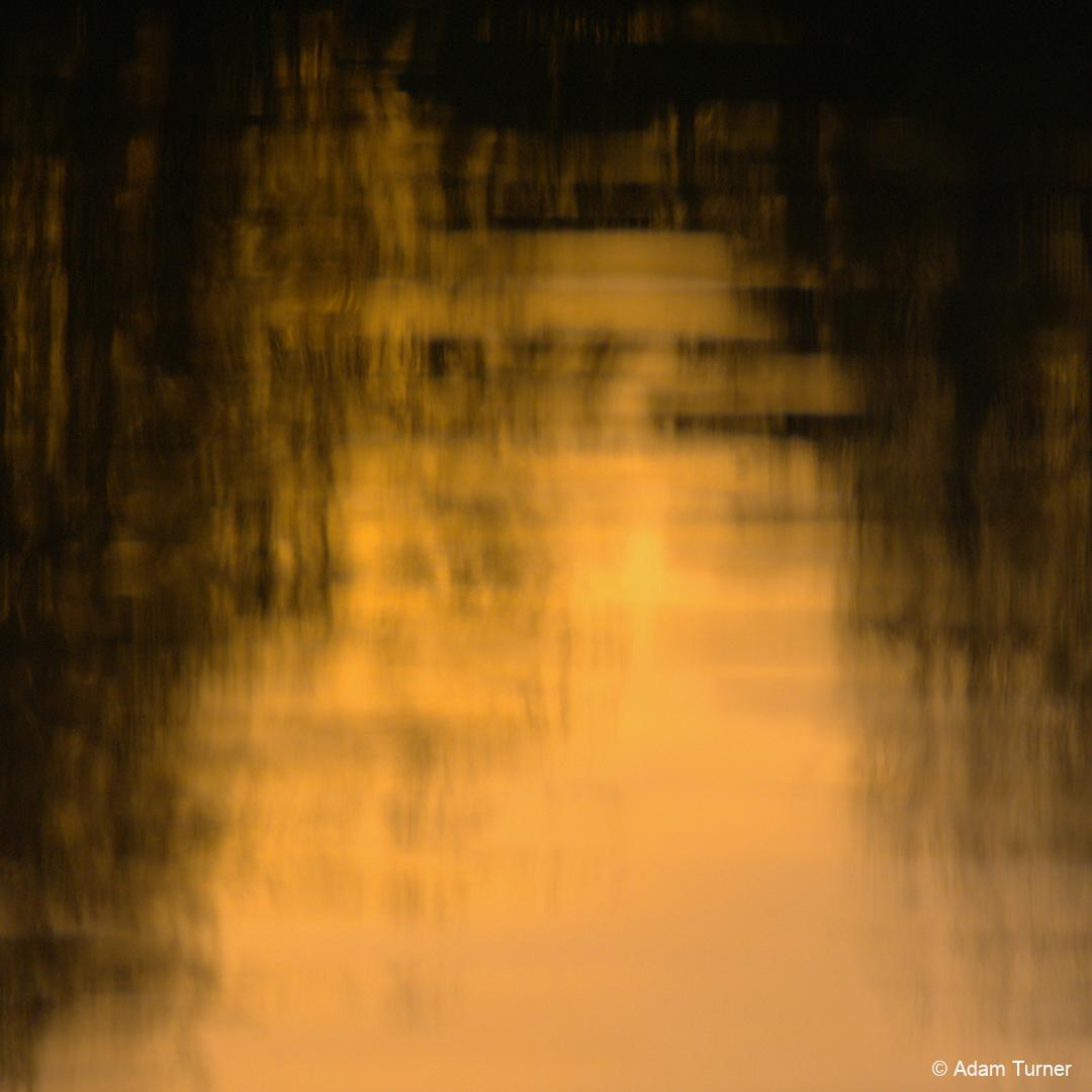 VDXURJ_frenshamlittlepond__DSF0224-1