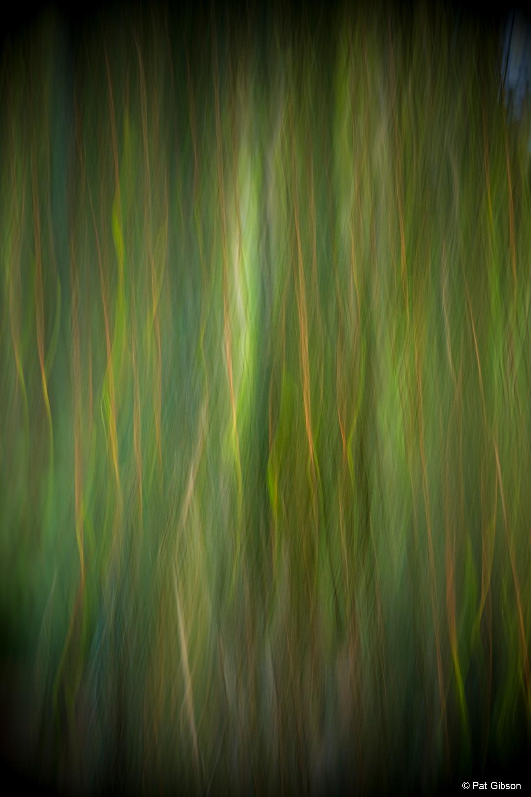 0PX0MV_rllmabstracts_Abstract-3