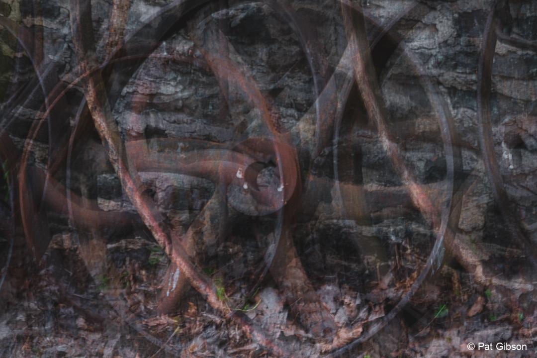 2KGXLL_rllmabstracts_Abstract-5