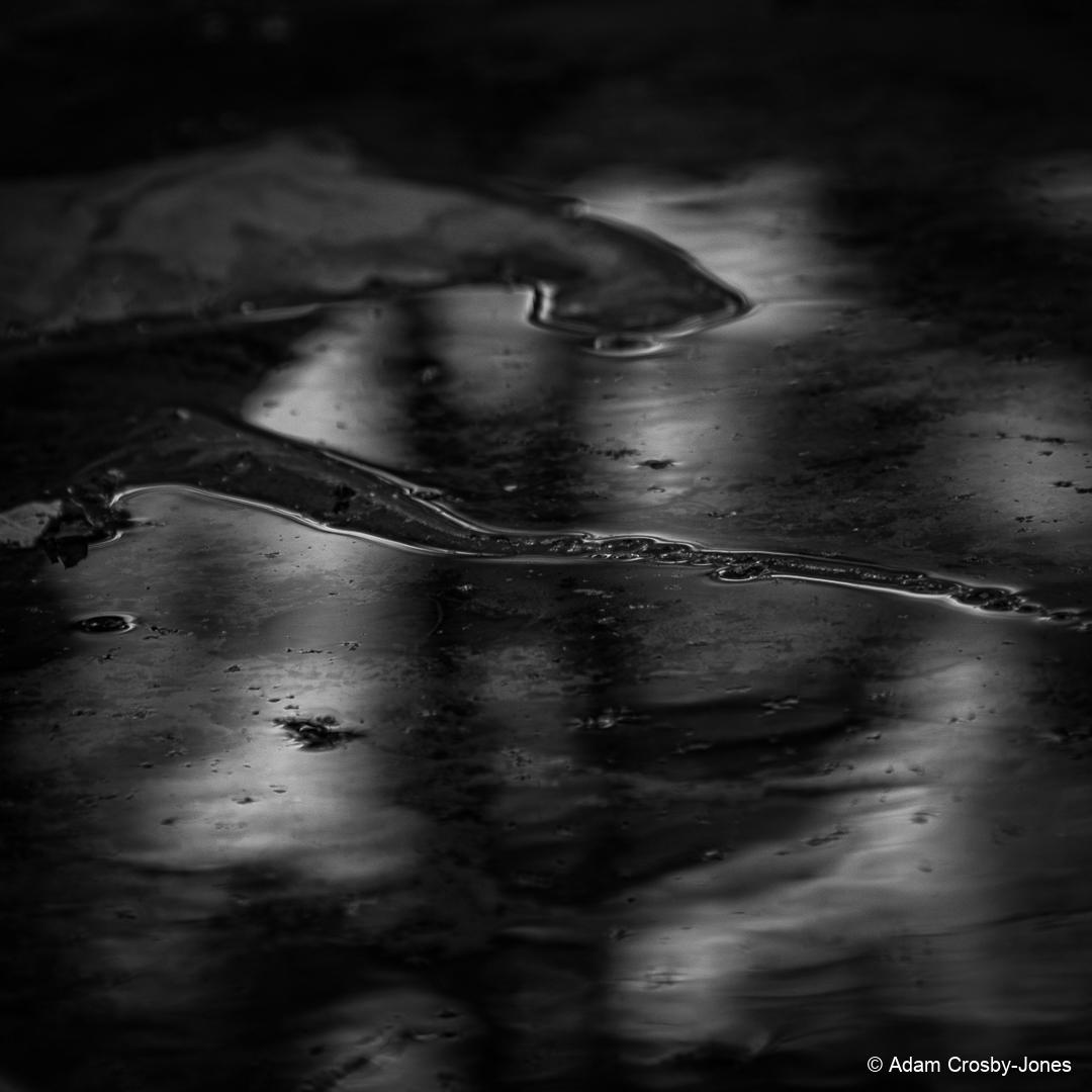 51YOQZ_rllmabstracts_DSC_2786