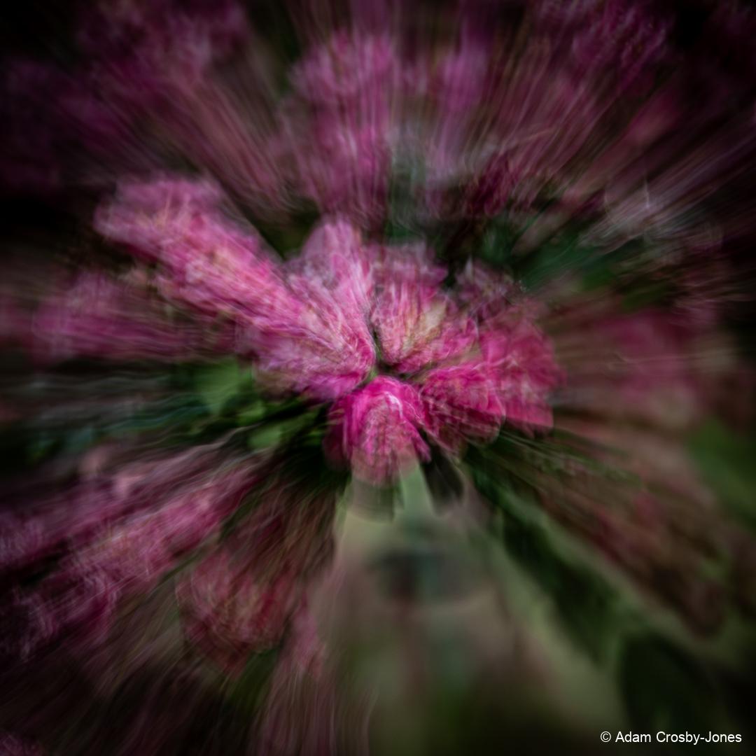 93ZDJR_rllmabstracts_DSC_2765