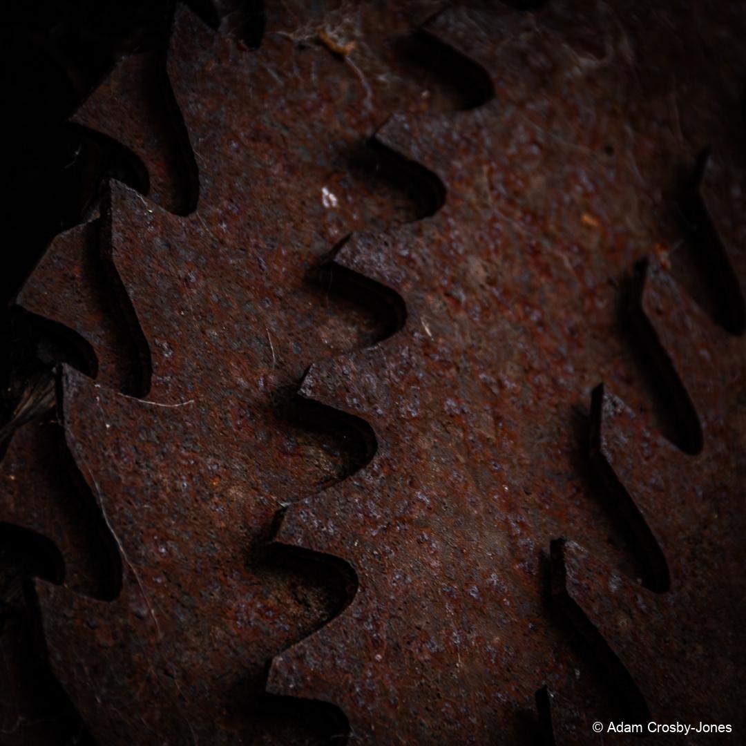 AJMUKQ_rllmabstracts_DSC_2794
