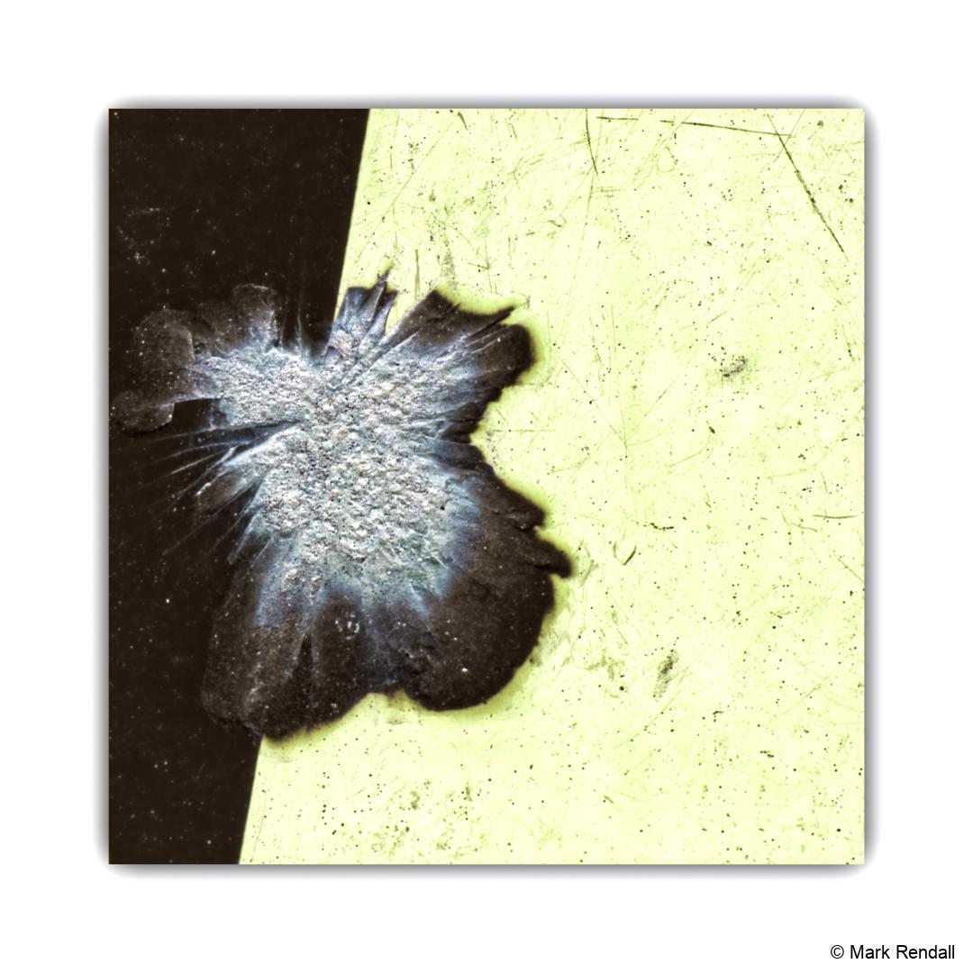 G0289O_rllmabstracts_EOS-R7R7_24980-Inverted