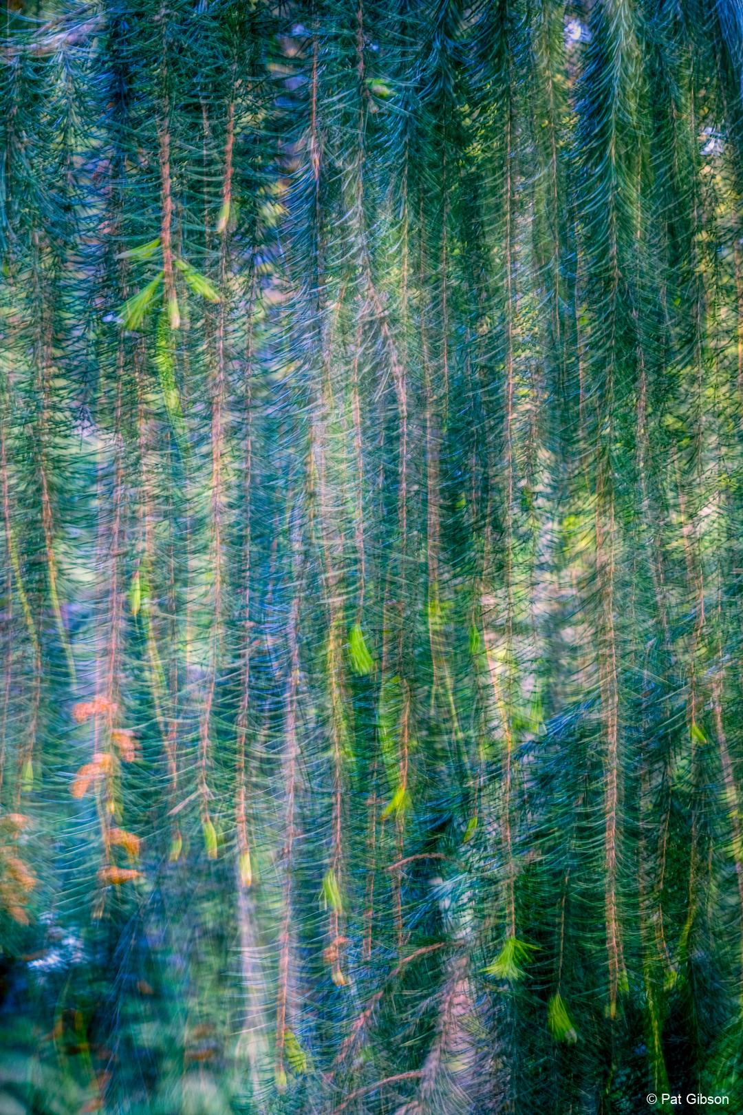 ICYK2P_rllmabstracts_Abstract-4