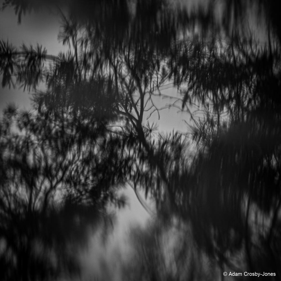 KEIJSX_rllmabstracts_DSC_2782