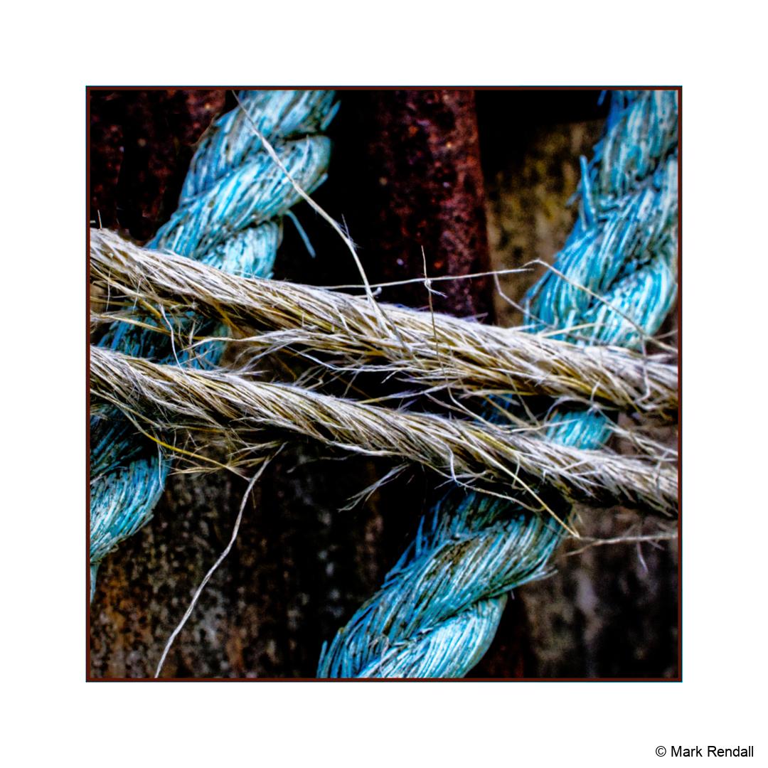 Q6UJUP_rllmabstracts_EOS-R7R7_25007-Macro