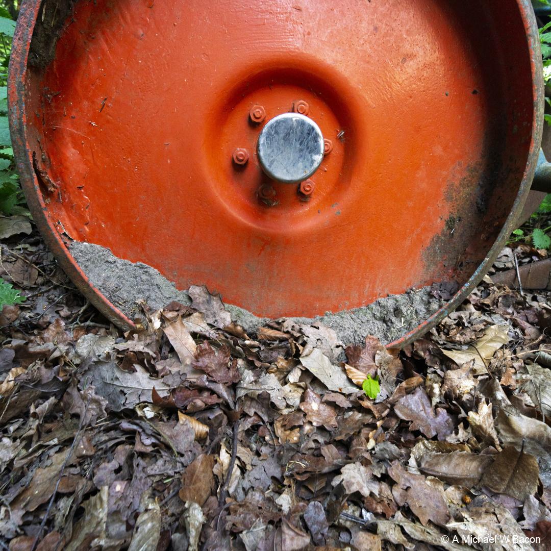 QNVGSK_rllmabstracts_DSC03535-edited_20260521-1
