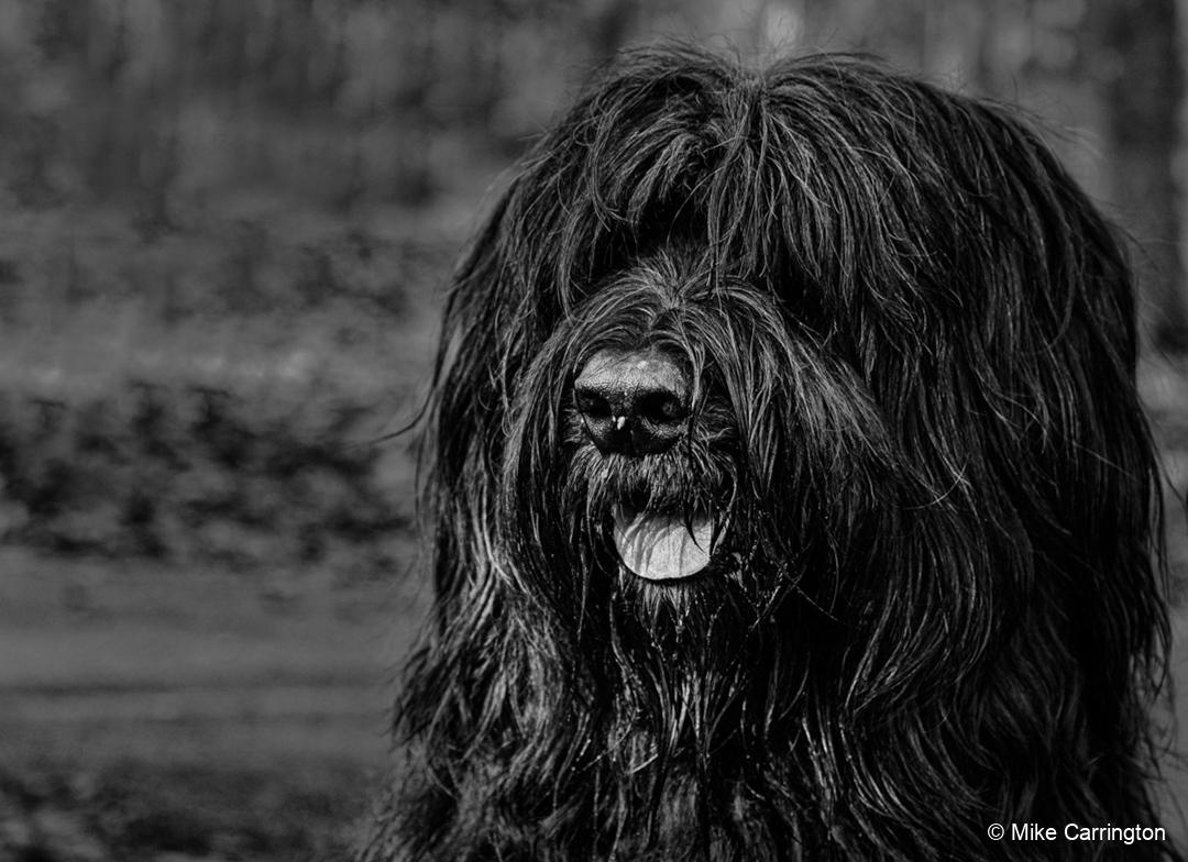 IZBZTW_ALICEHOLT_IMG_9976-crop1