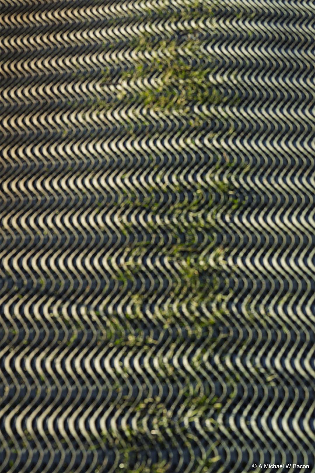 DSC02783-edited_20260323-1