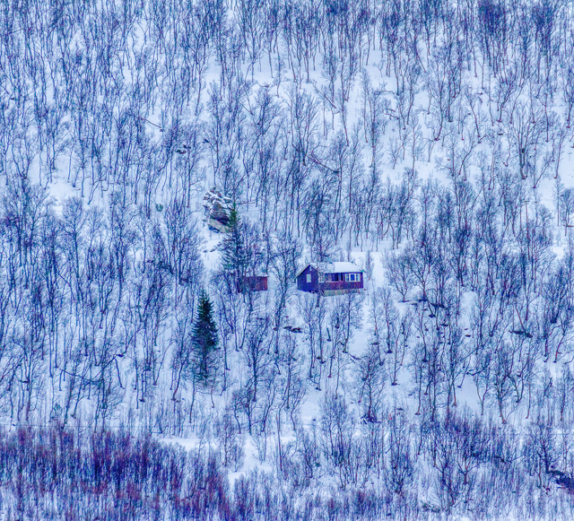 D7978_Home_Alone