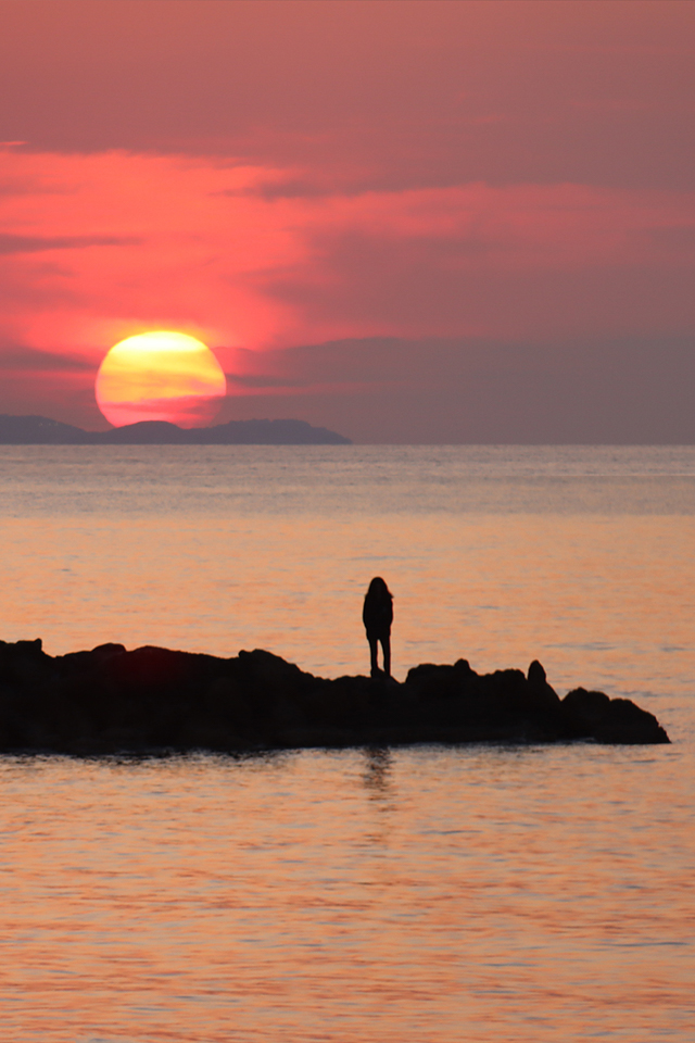 D8478_Contemplation