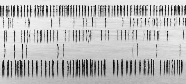 P8363_Oyster_Pole_Bar_Code_-_Brittany