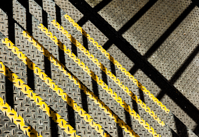 P8433_A_multiplicity_of_treads