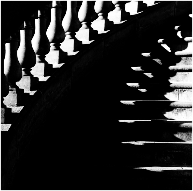 P8443_Acscent_Noir